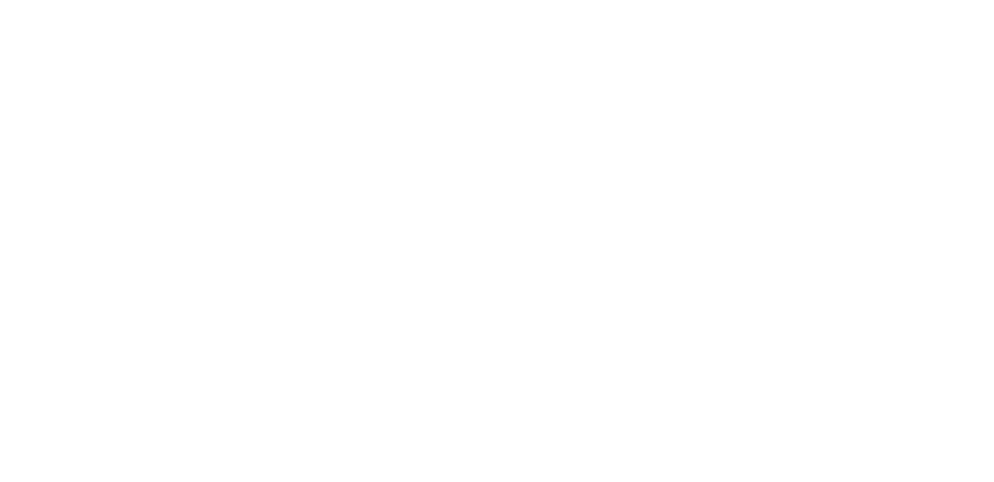 Plano Basilica Isidoriana