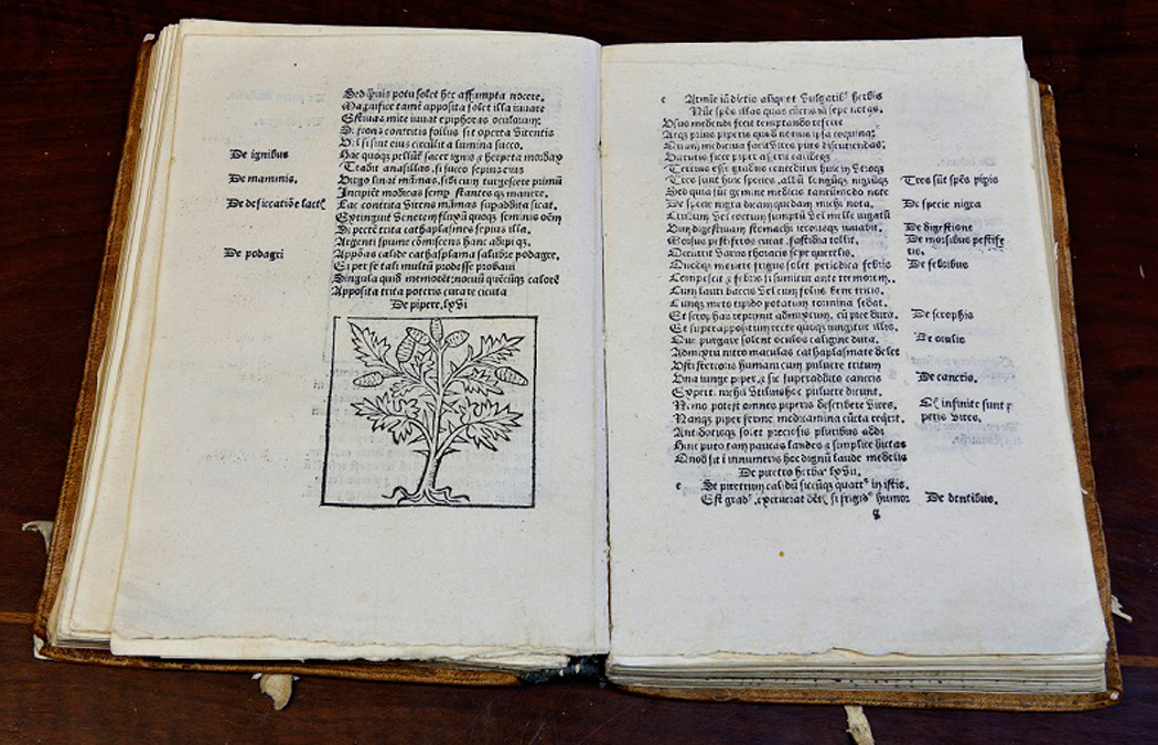 Renaissance Library